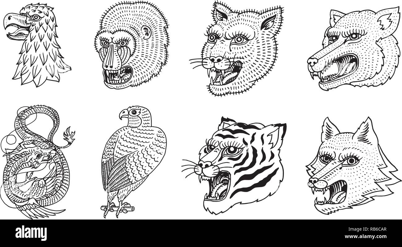 Testa di animale selvatico predatore. Puma Wolf Fox Tiger Eagle Falcon muso di scimmia e il Drago Cinese. Stile giapponese ritratti. Disegnato a mano monocromatico inciso vecchio bozzetto per i logo retrò. Close up. Illustrazione Vettoriale