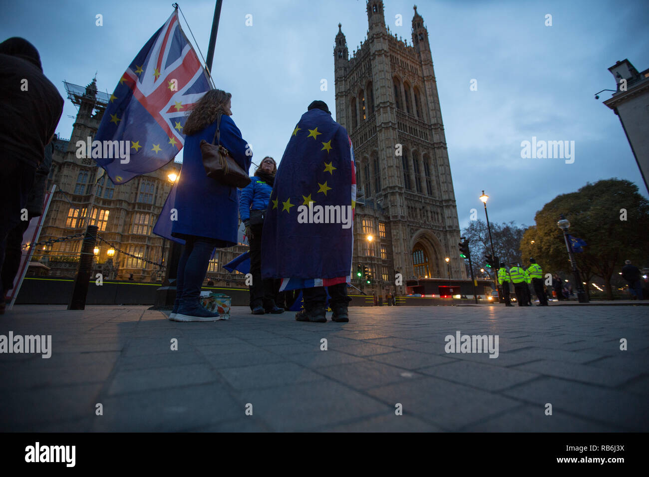 Westminster, Londra, Regno Unito. Il 7 gennaio 2019. Anti Brexit manifestanti demonstate fuori le case del Parlamento Credito: George Wright Cracknell/Alamy Live News Foto Stock