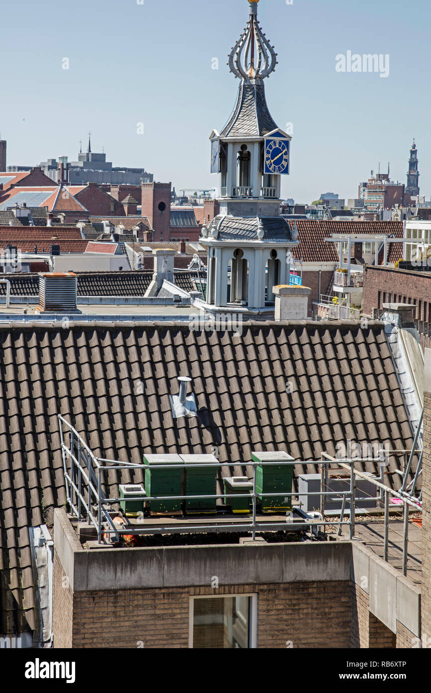I Paesi Bassi, Amsterdam, tetto di Barbizon Hotel, il miele delle api arnie. Foto Stock