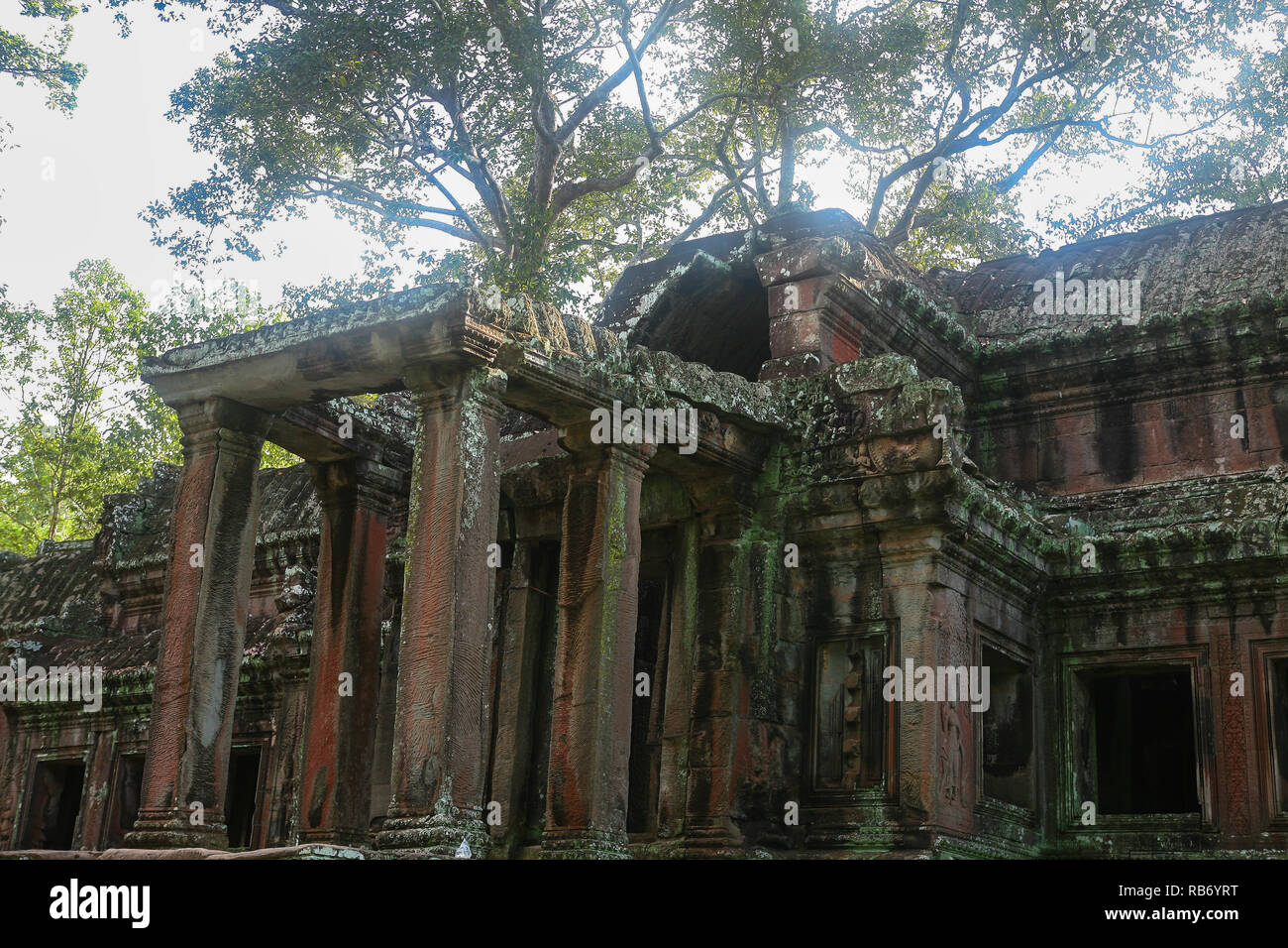 Early Morning mist su Ta Kou (East Gate) ingresso di Angkor Wat, Siem Reap, Cambogia Foto Stock