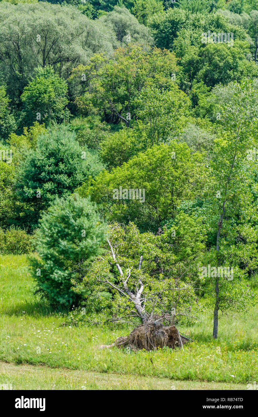 Il paesaggio rurale in Wisconsin Foto Stock