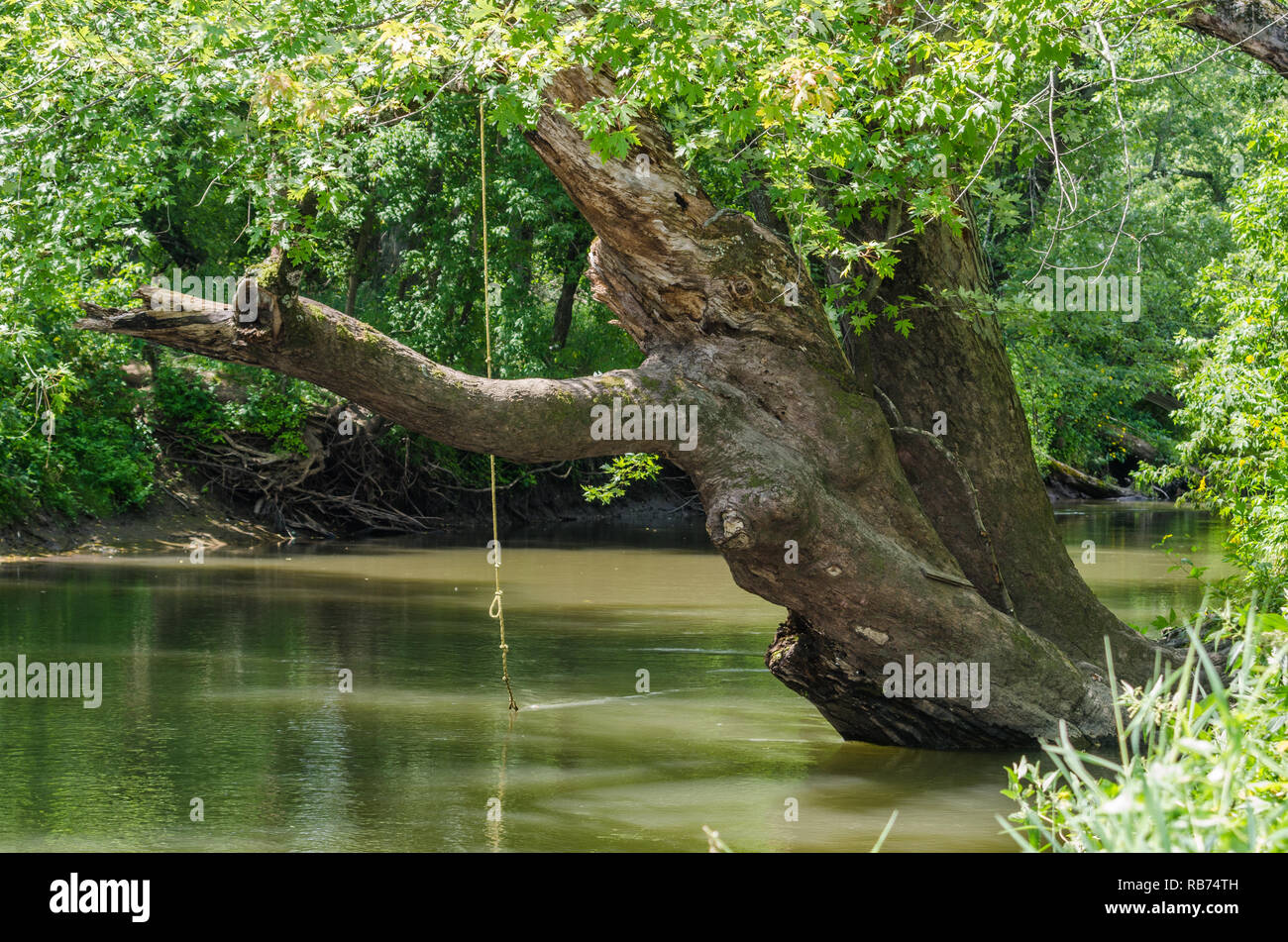 Il paesaggio rurale in Wisconsin Foto Stock