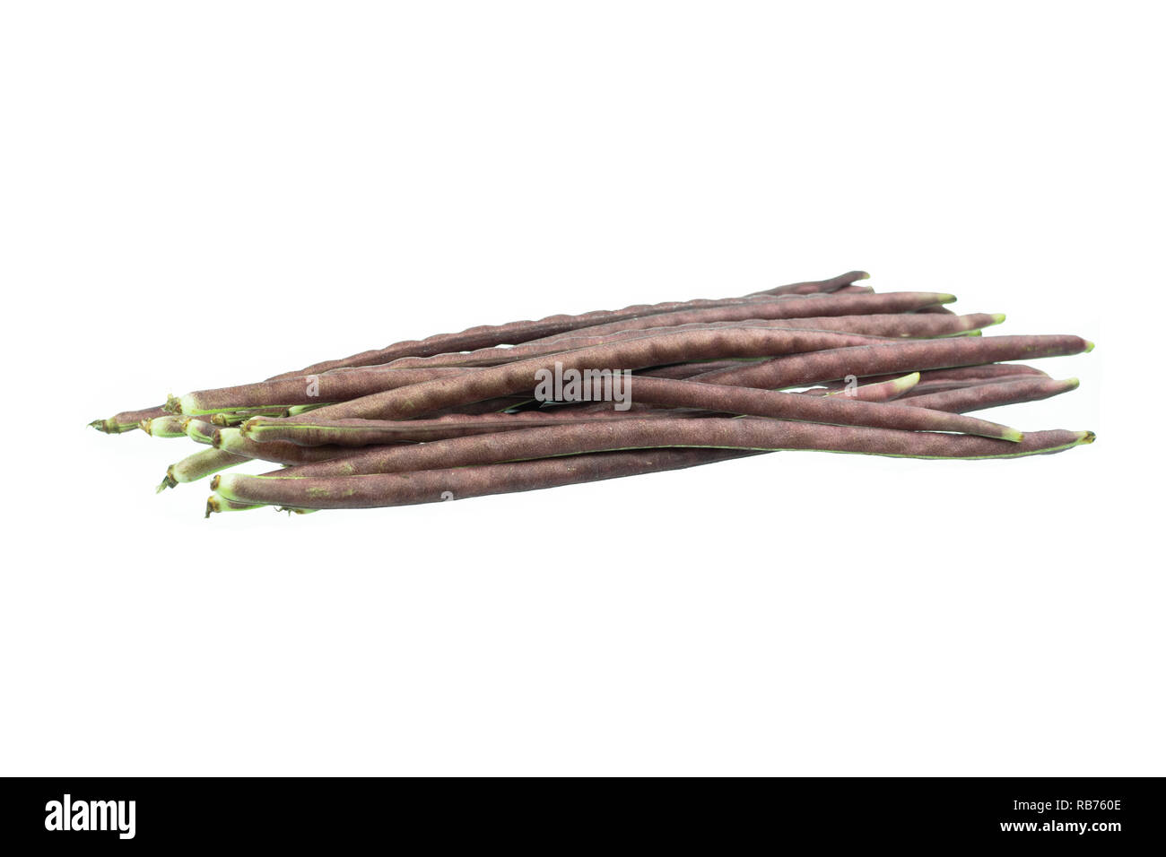 Viola bean di yardlong isolati su sfondo bianco Foto Stock