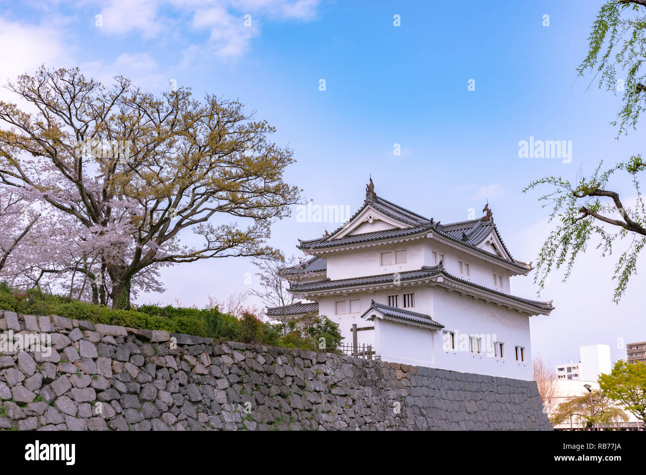 Castello Sunpu Tatsumi-Yagura con la fioritura dei ciliegi, Shizuoka, Giappone. Foto Stock