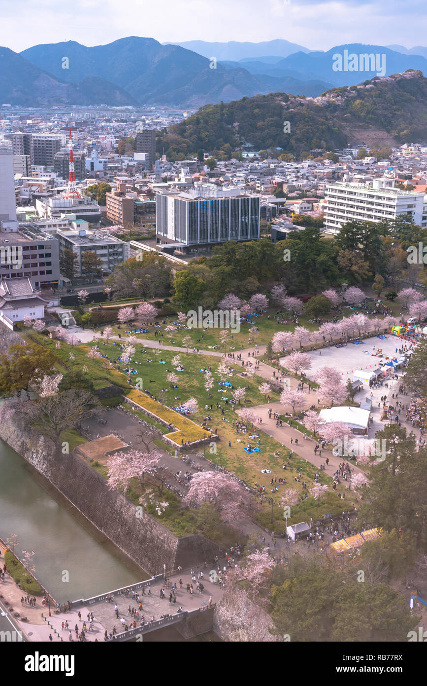 Shizuoka dello skyline della città con la fioritura dei ciliegi (castello Sunpu park) Foto Stock