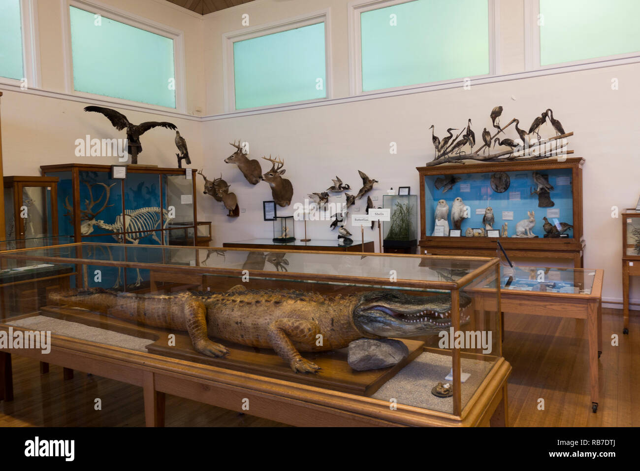 Libby Museum Wolfeboro New Hamphire Foto Stock