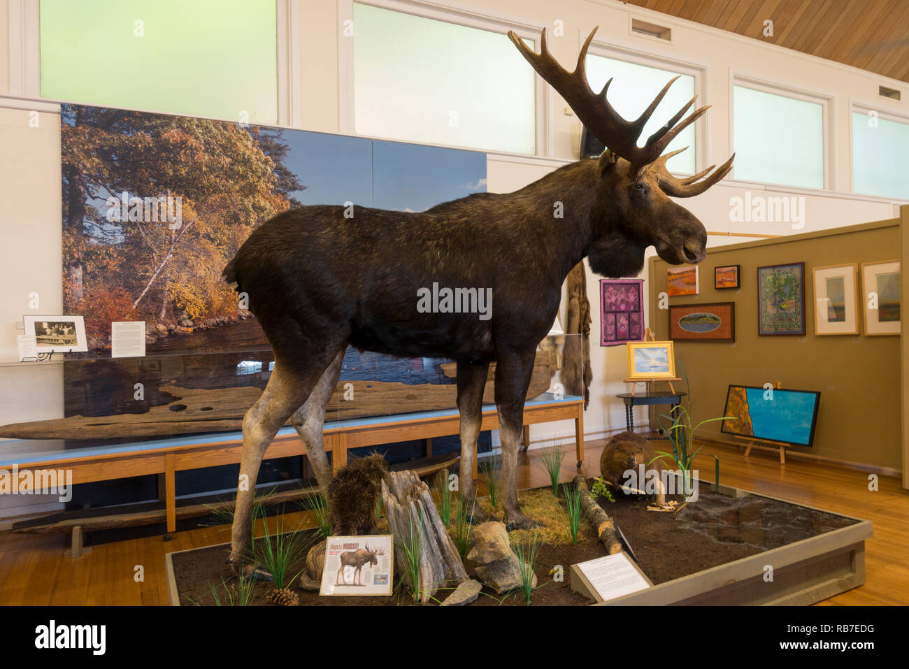 Libby Museum Wolfeboro New Hamphire Foto Stock