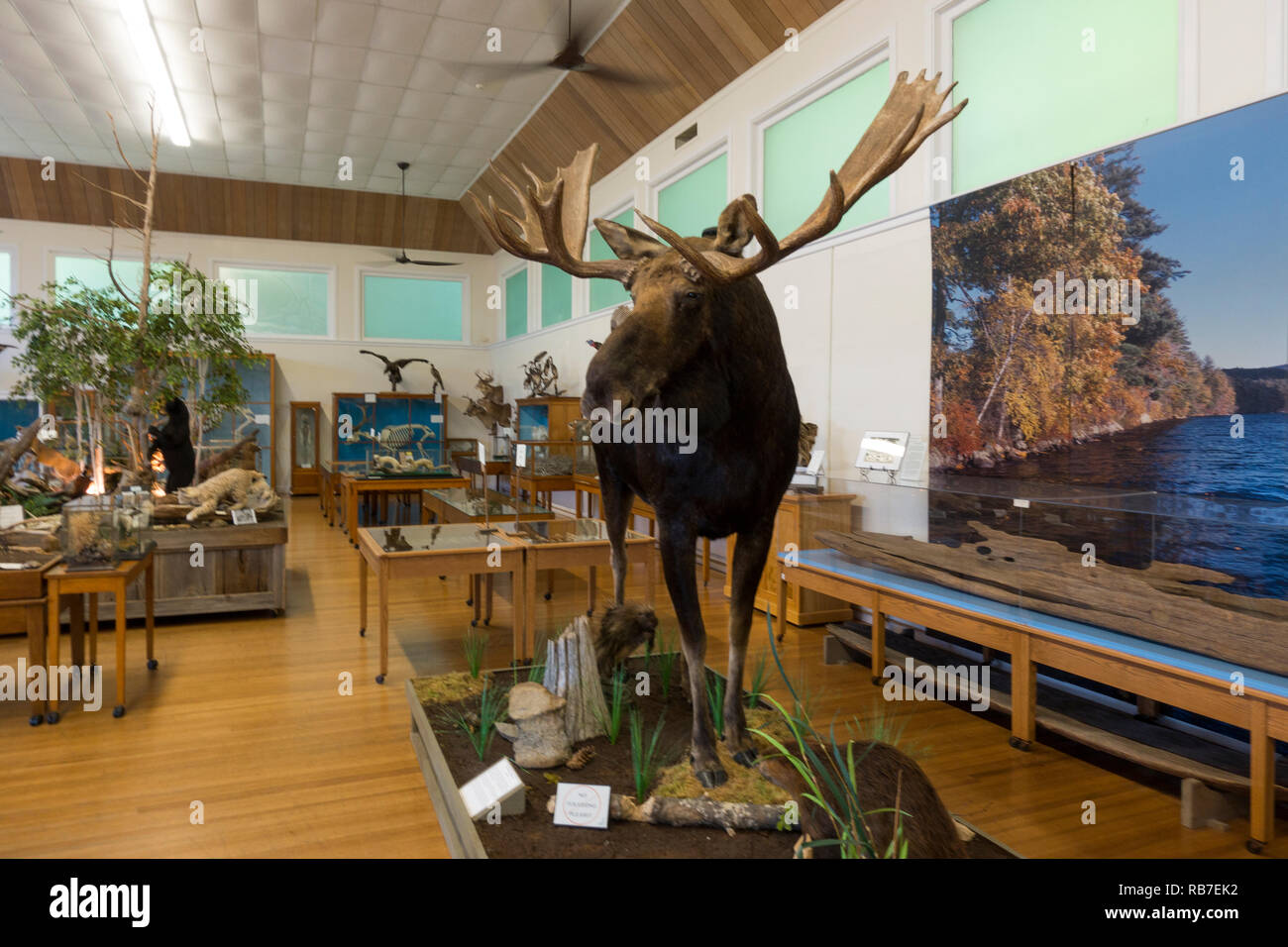 Libby Museum Wolfeboro New Hamphire Foto Stock