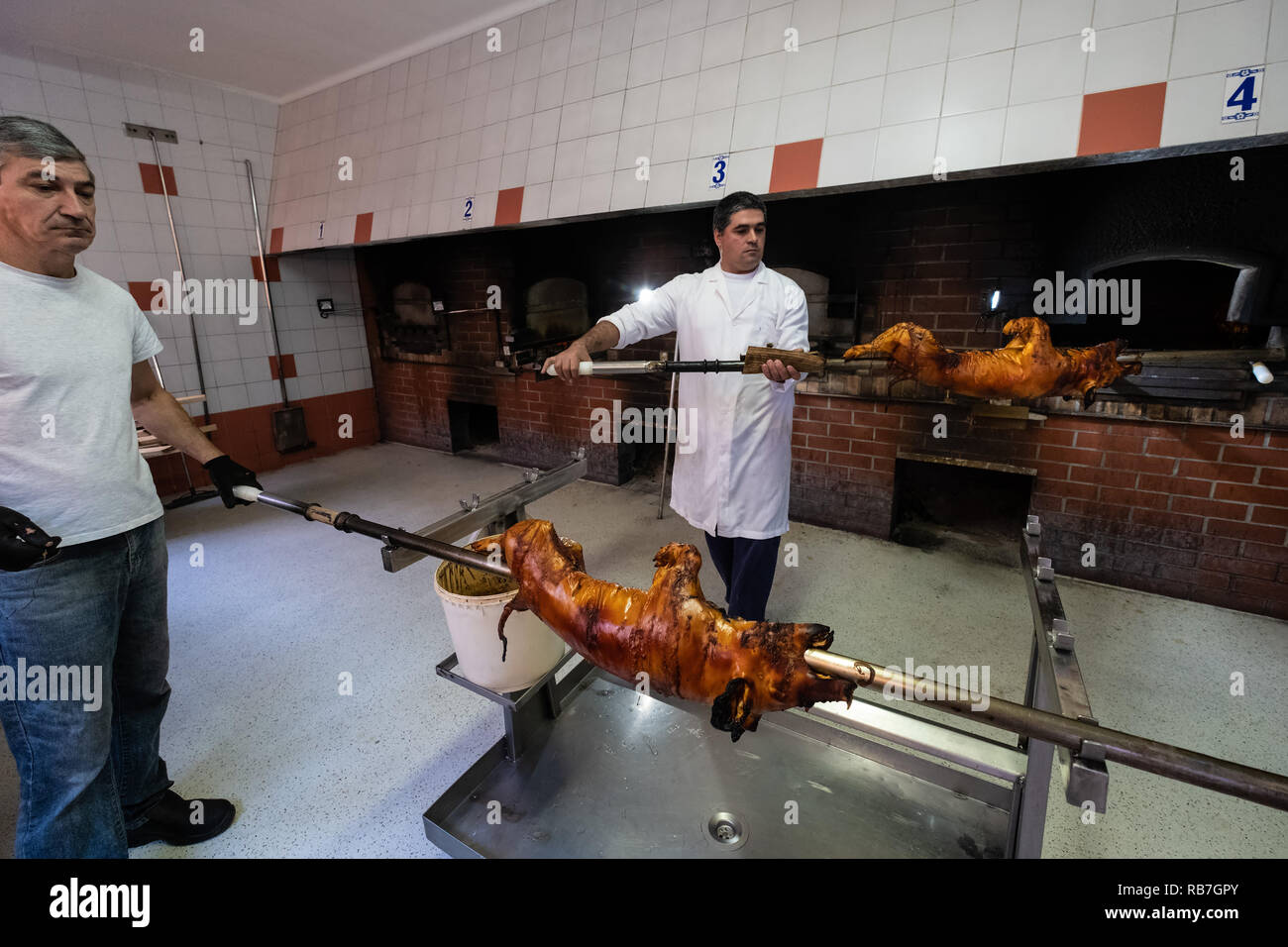 L'uomo tenendo un maialino allo spiedo che veniva tostata in Portoghese tradizionale regione di Bairrada, Mealhada, Portogallo Foto Stock
