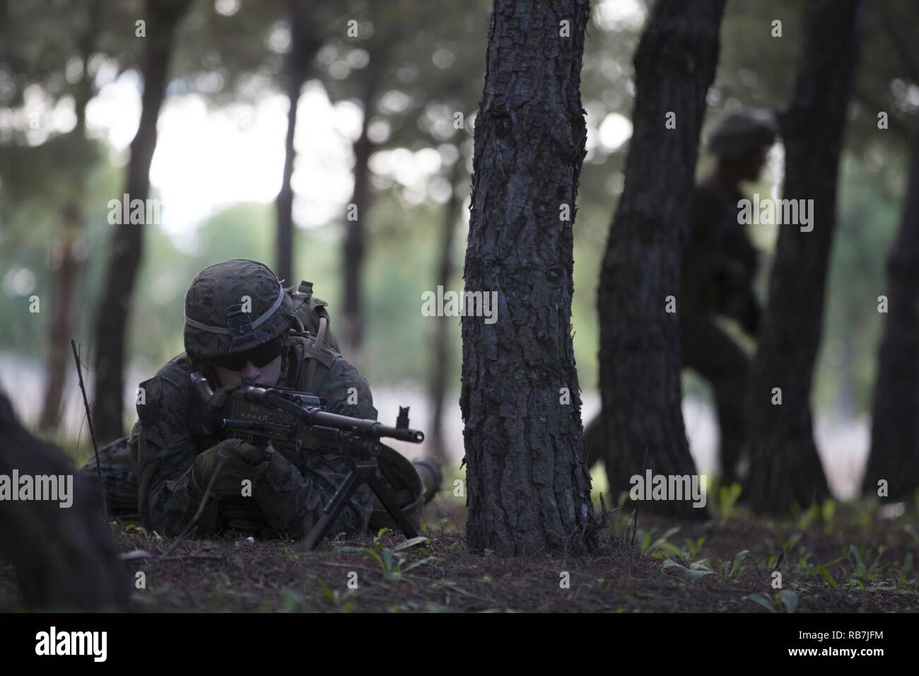 Un U.S. Marine assegnato a scopo speciale Air-Ground Marine Task Force-Crisis Response-Africa, fornisce la copertura per la sua squadra durante una pattuglia esercitazione in Morón Air Base, Spagna, Dicembre 5, 2016. I marines eseguita di squadra esercizi livello consentendo loro di provare l'impostazione imboscate, azione immediata trapani, e squad comunicazione interna, impostazione della fase di Marines a condurre i futuri plotone-operazioni di livello. Stati Uniti Marines e velisti assegnati per scopi speciali Air-Ground Marine Task Force-Crisis Response-Africa supporto Comando operazioni, imprevisti e la sicurezza e la cooperazione in Foto Stock