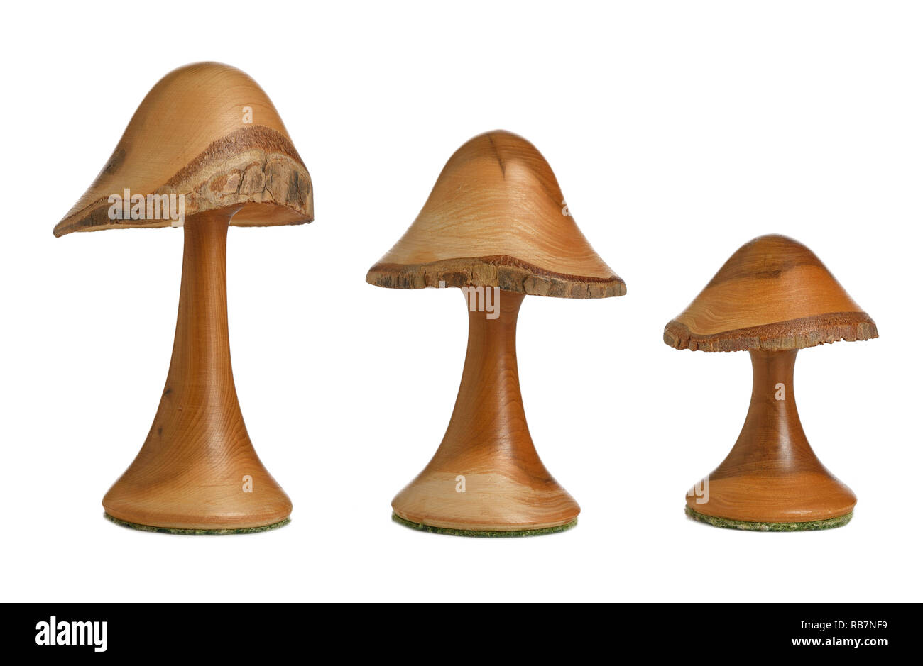Tre di legno di legno ornamentali toadstools o funghi Foto Stock