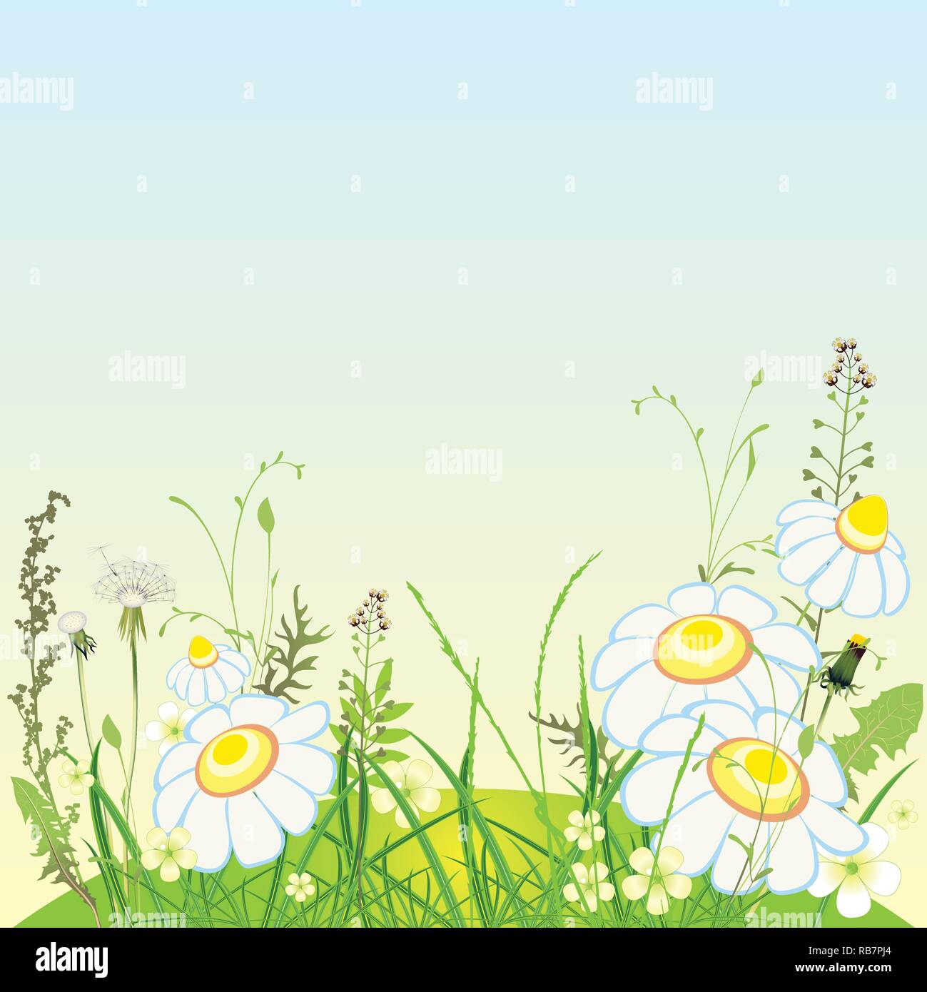 Paesaggio verde, fiori ed erba prato, illustrazione vettoriale Illustrazione Vettoriale