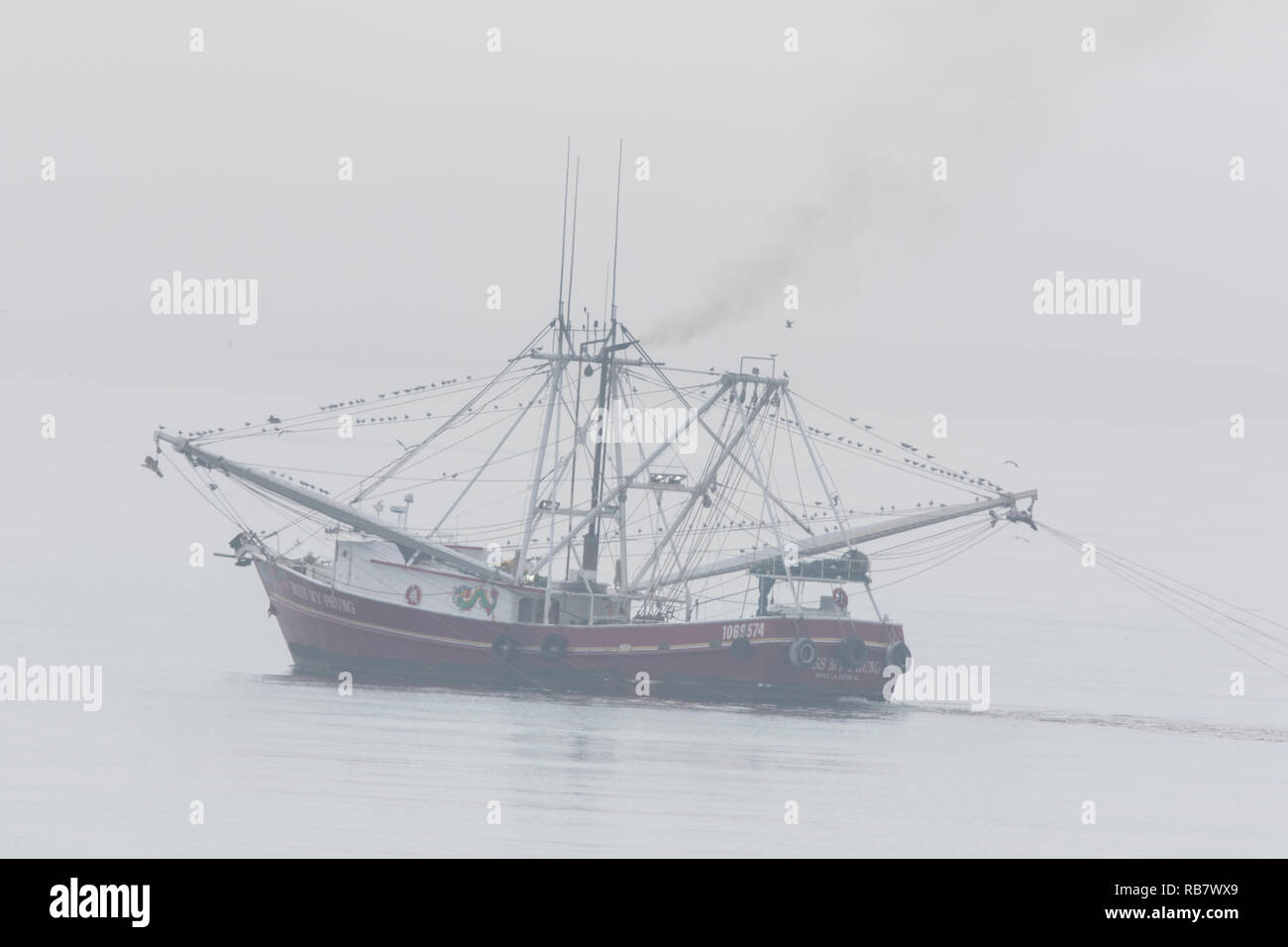 La pesca a strascico di off Dauphin isola nel Golfo del Messico, Alabama. Foto Stock