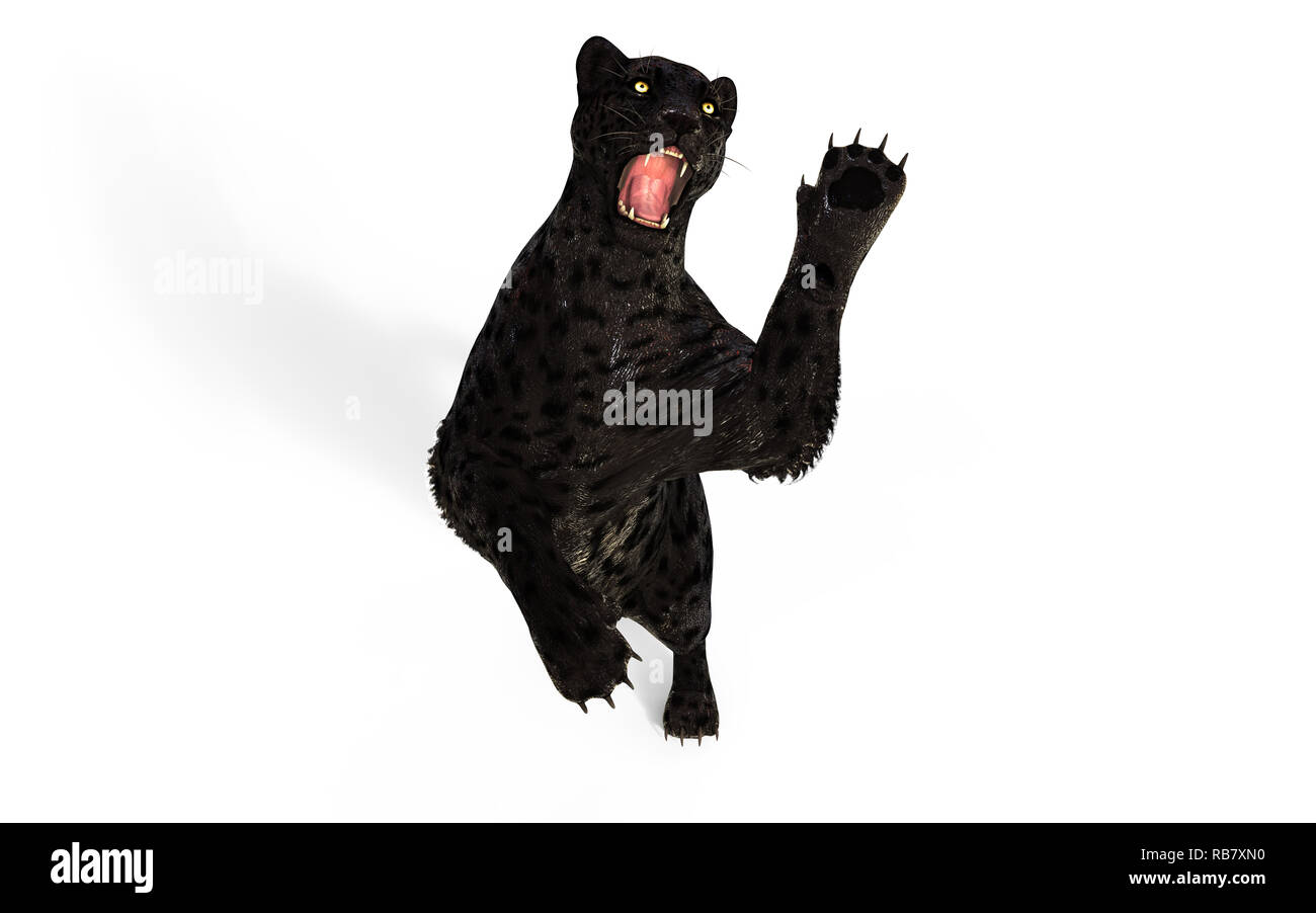 3d illustrazione Black Panther isolare su sfondo bianco con percorso di clipping, Black Tiger Foto Stock