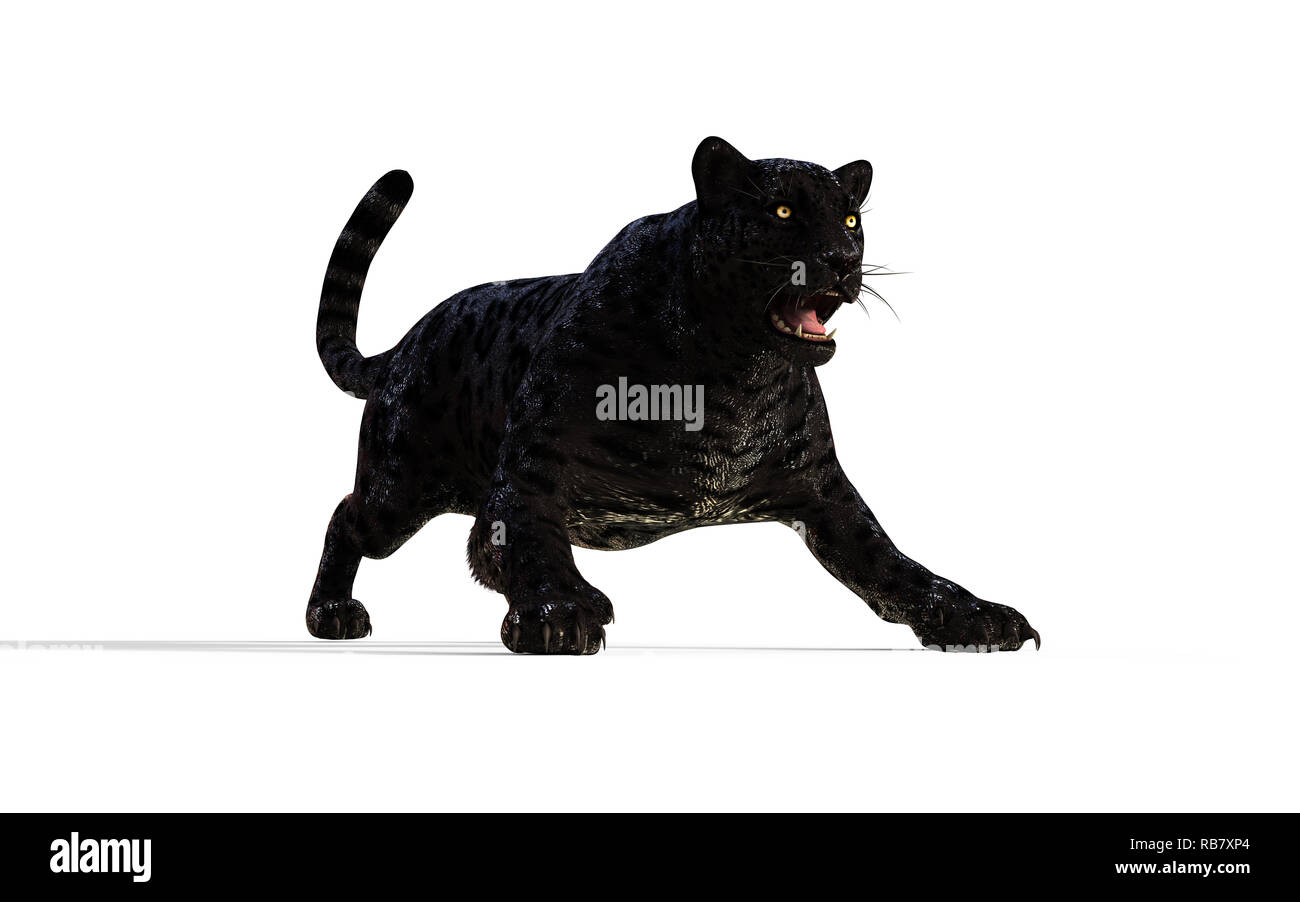 3d illustrazione Black Panther isolare su sfondo bianco con percorso di clipping, Black Tiger Foto Stock
