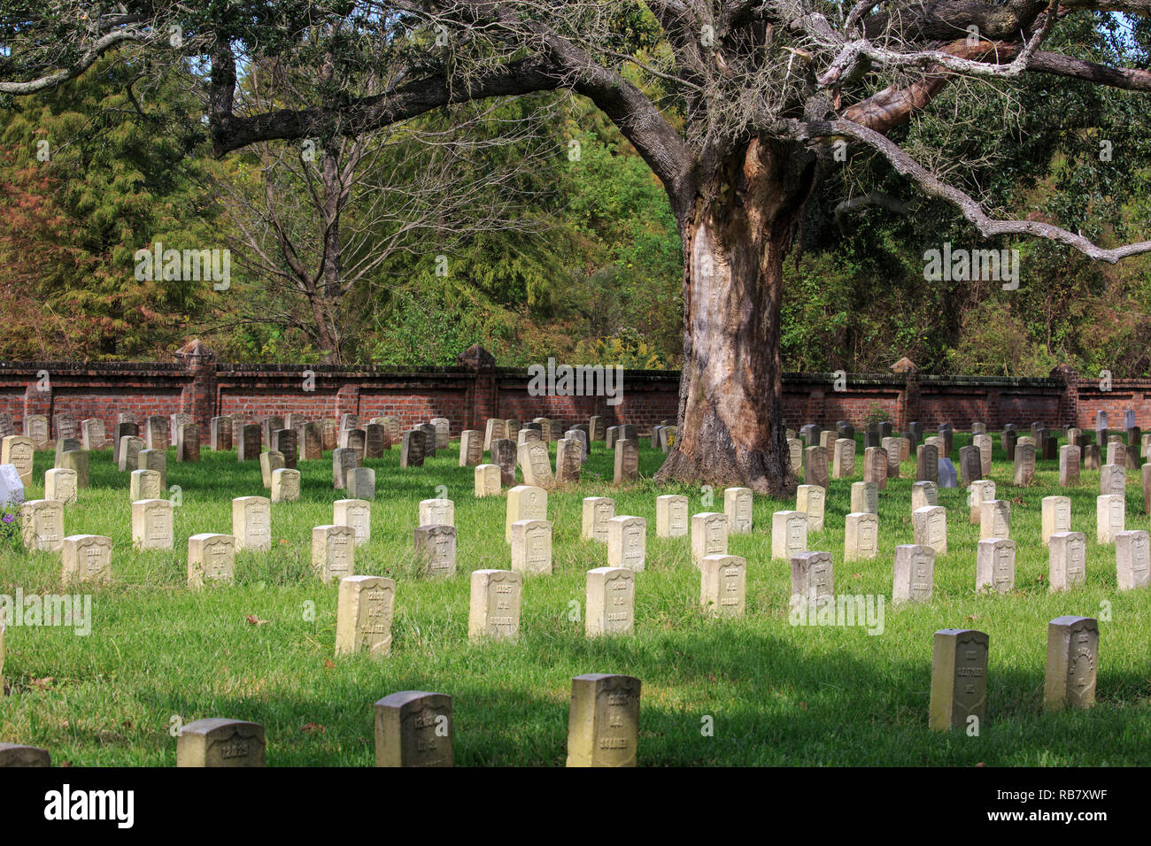 Le lapidi a Chalmette Cimitero Nazionale Foto Stock