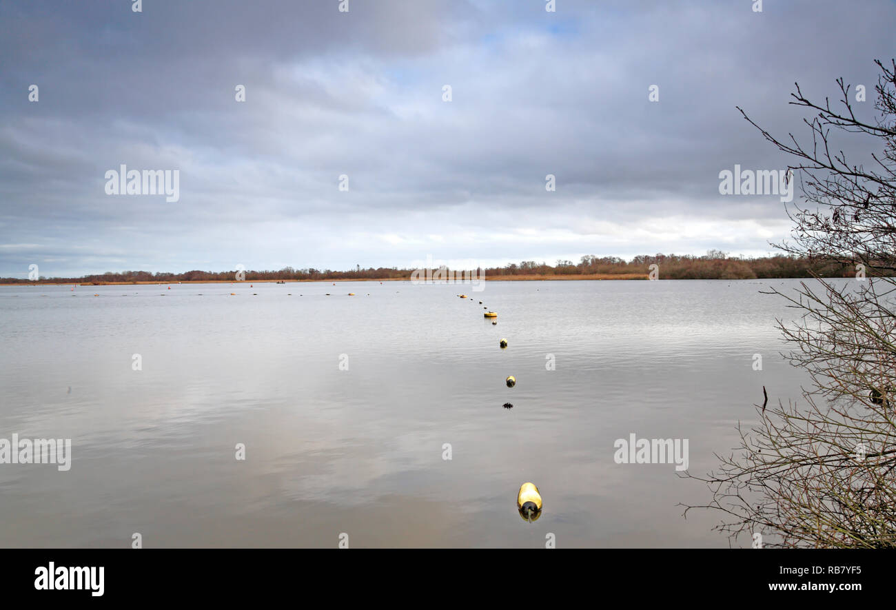 Un inverno vista su Barton ampia dal Boardwalk piattaforma di osservazione sul Norfolk Broads a Neatishead, Norfolk, Inghilterra, Regno Unito, Europa. Foto Stock