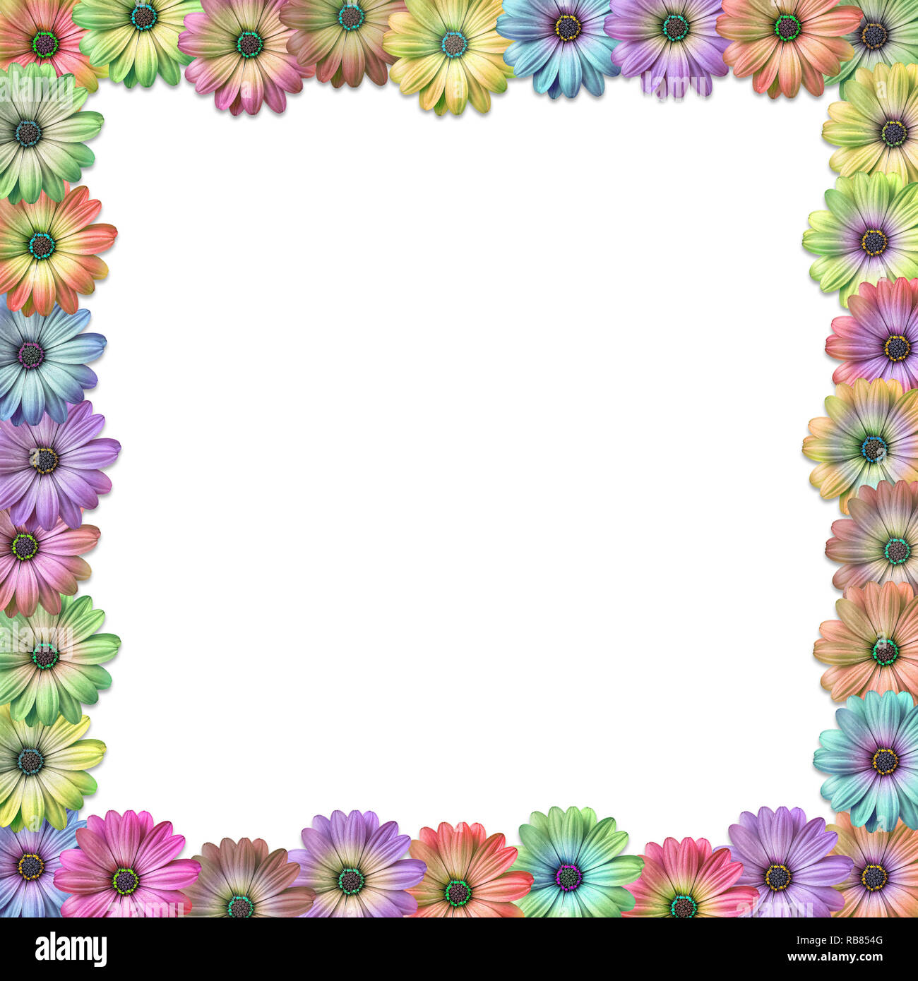 Con sfondo colorato daisy come flower confine telaio dello sfondo Foto Stock