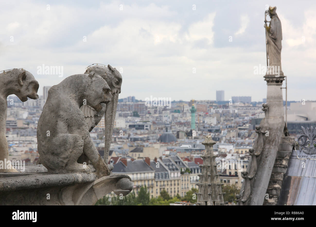 HD Photographs Of Gargoyles On Notre Dame Cathedral In Paris - Foto 6