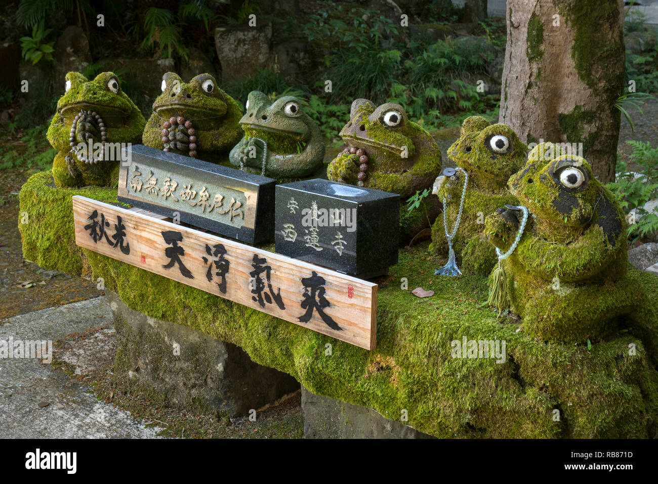 Sasebo, Giappone - 29 Ottobre 2018: fila di rana di pietra di fronte il buddista Anyo-zan Seiren-ji in Meganeiwa park, sulla tavola di legno è atto di citazione Foto Stock