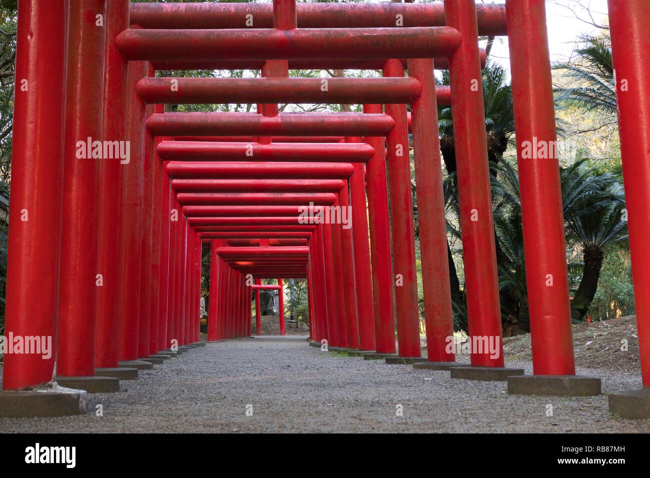 Miyazaki, Giappone - 4 Novembre 2018: fila di red torii gate dei Gosho Inari-jinja Santuario della foresta Foto Stock