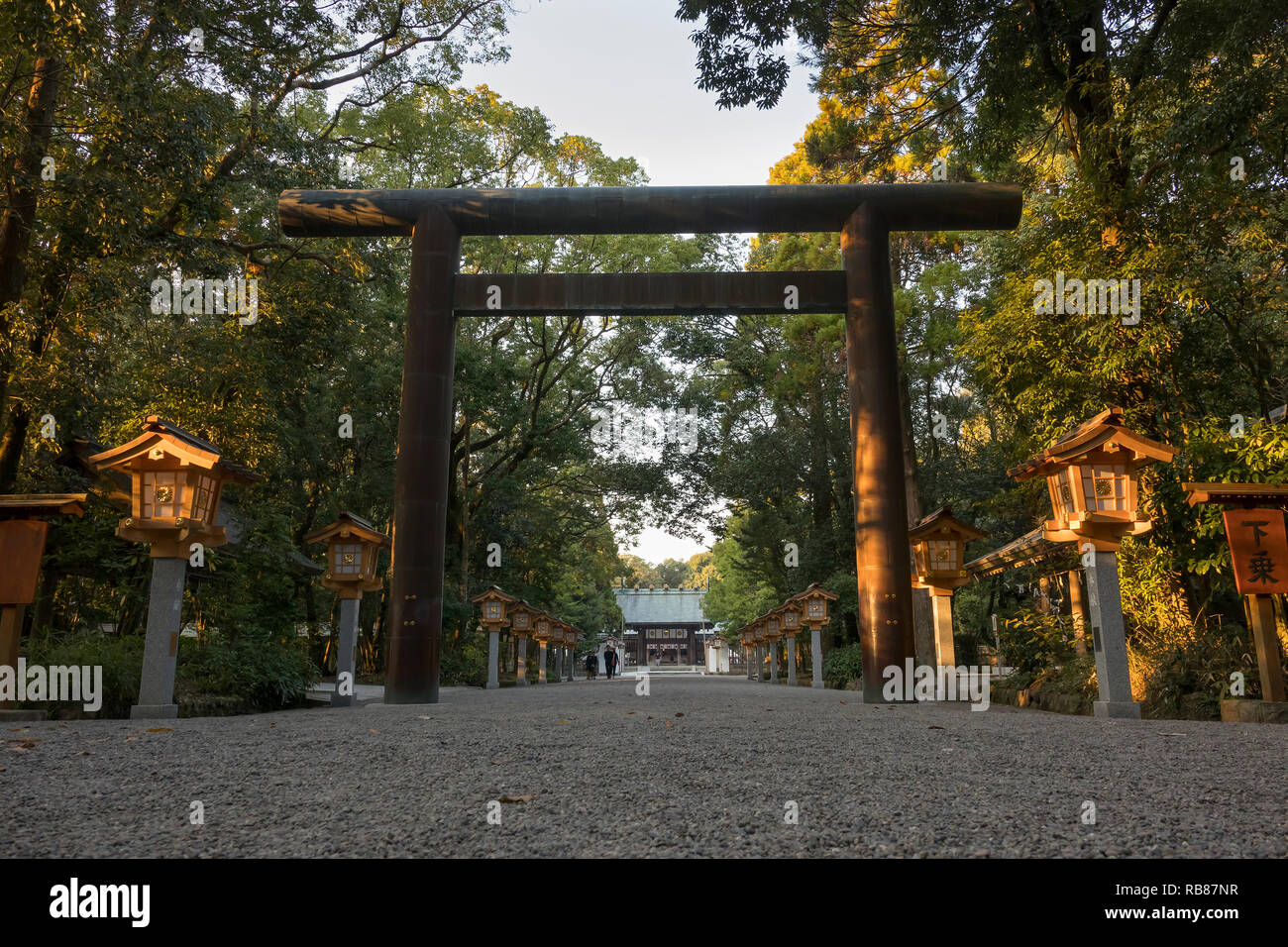 Miyazaki, Giappone - 4 Novembre 2018: Torii ingresso della corsia con lanterne a Miyazaki Jingu, il più antico e il più importante santuario della Foto Stock