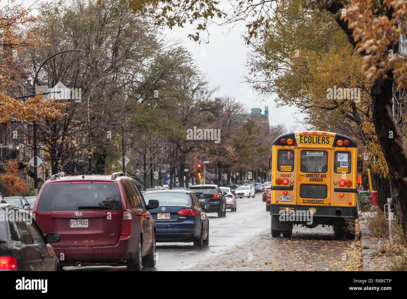 MONTREAL, Canada - 6 Novembre 2018: North American Yellow School Bus parcheggiato su una strada in attesa per gli studenti con macchine che passano con le informazioni che ho Foto Stock