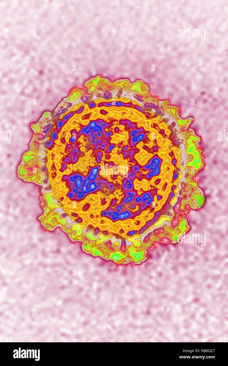 Virus influenzale Foto Stock