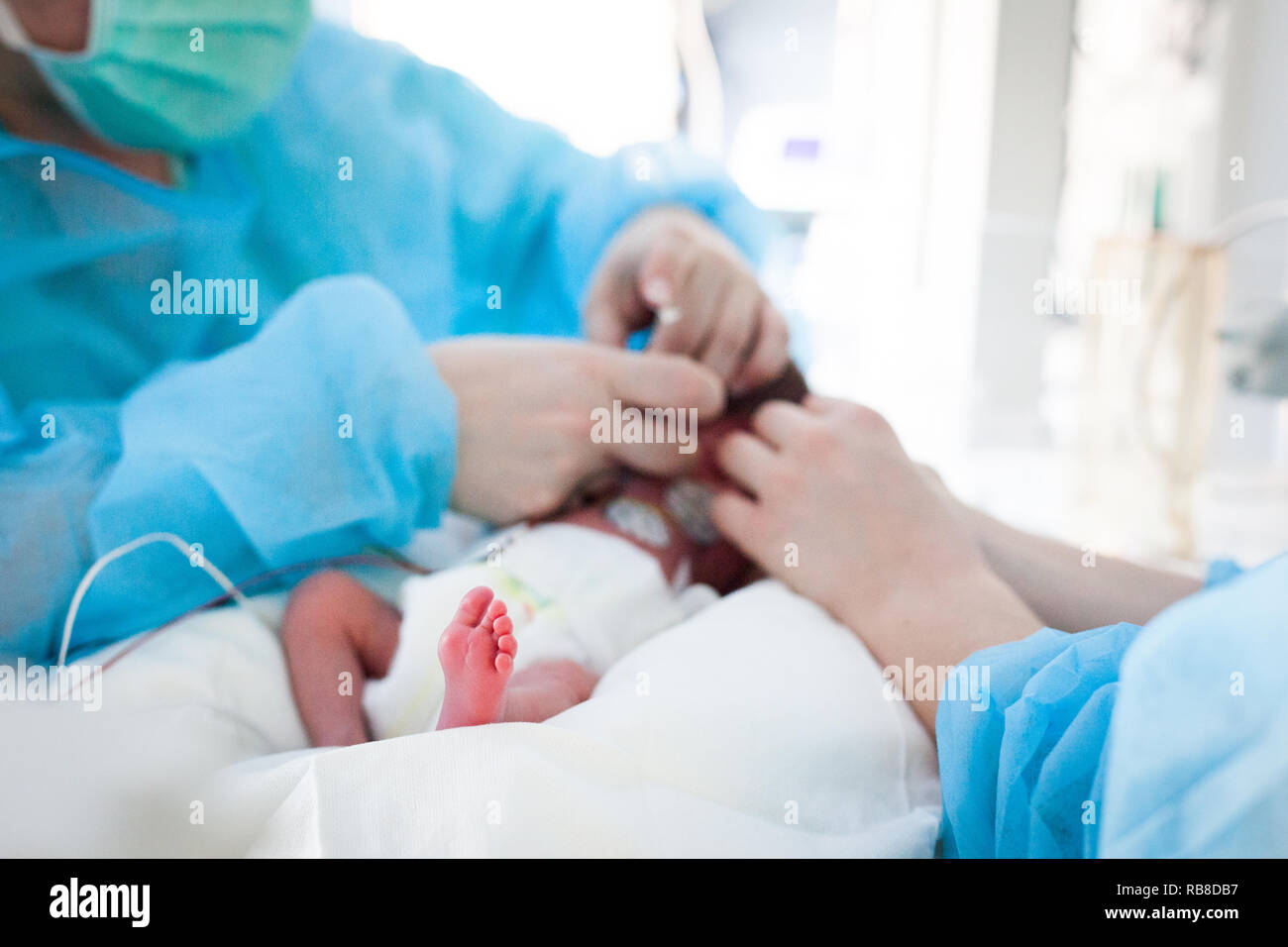 Un educatore si prende cura di un bambino prematuro. Ospedale. Aix en Provence. Foto Stock