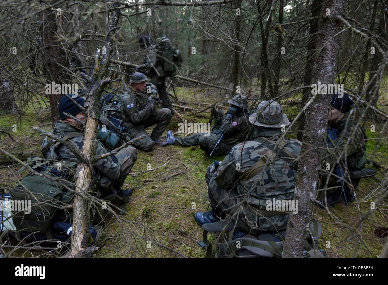 Il lettone e soldati estoni escogitare una strategia durante il Tedesco Mountain Warfare Formazione in Seinsbach Gorge, Mittenwald, Germania, Dic 10, 2016. La guerra di montagna della formazione è stata condotta 5-16 Dicembre a costruire tactical proficiency in terreno montuoso. Paracadutisti condotte operazioni di ricognizione e praticata in condizioni di freddo intenso tecniche di sopravvivenza. La formazione ha avuto luogo a fianco degli alleati della NATO, tra cui estone, tedesco, lettone, lituana e forze armate polacche. Foto Stock