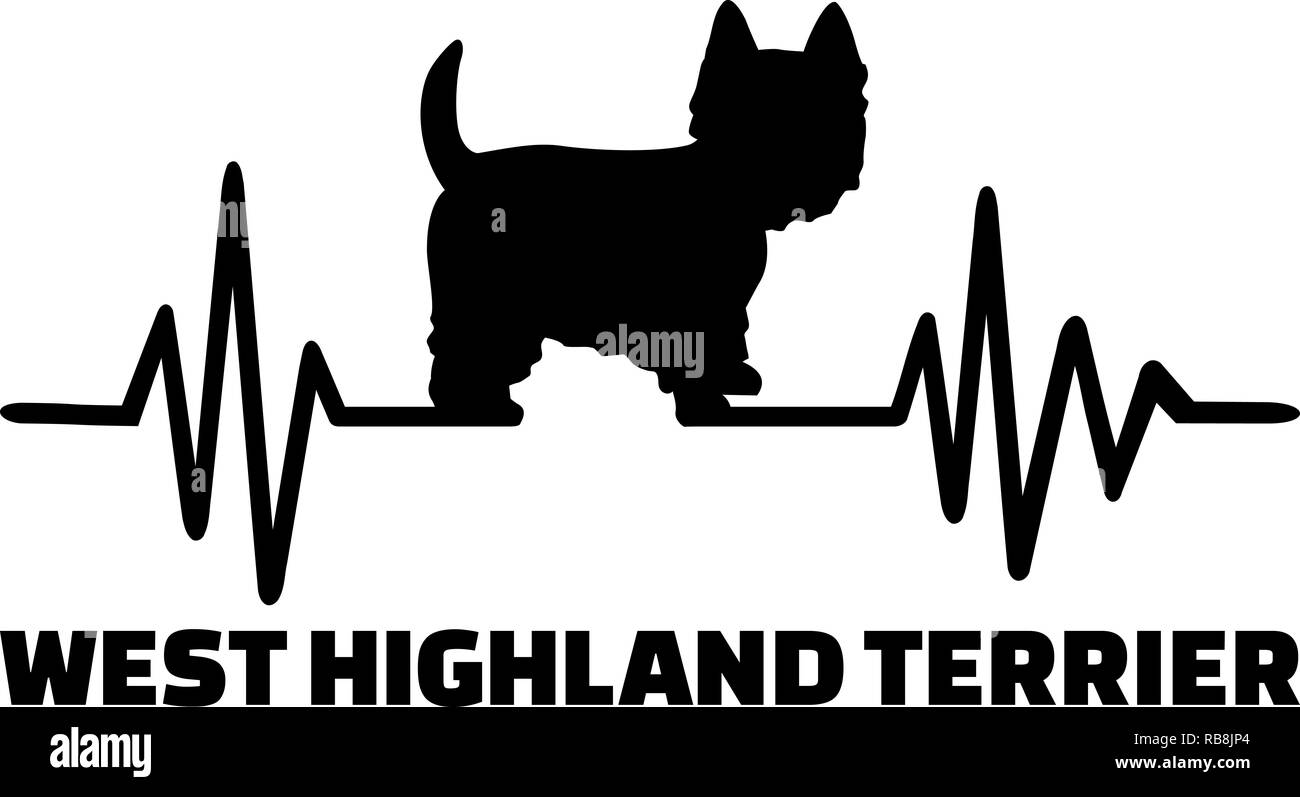 La frequenza del battito cardiaco con Westie cane silhouette Foto Stock