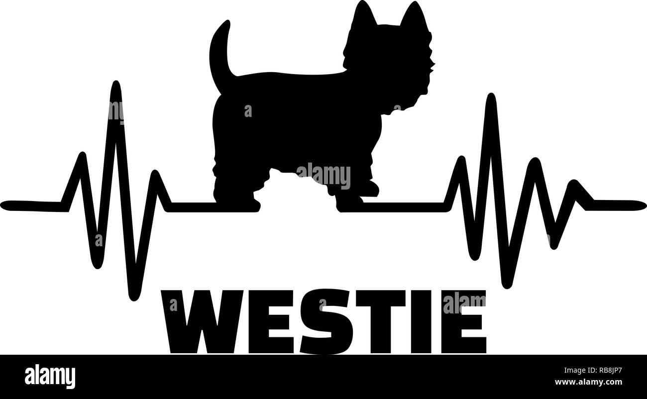 Impulso di heartbeat con Westie cane silhouette Foto Stock
