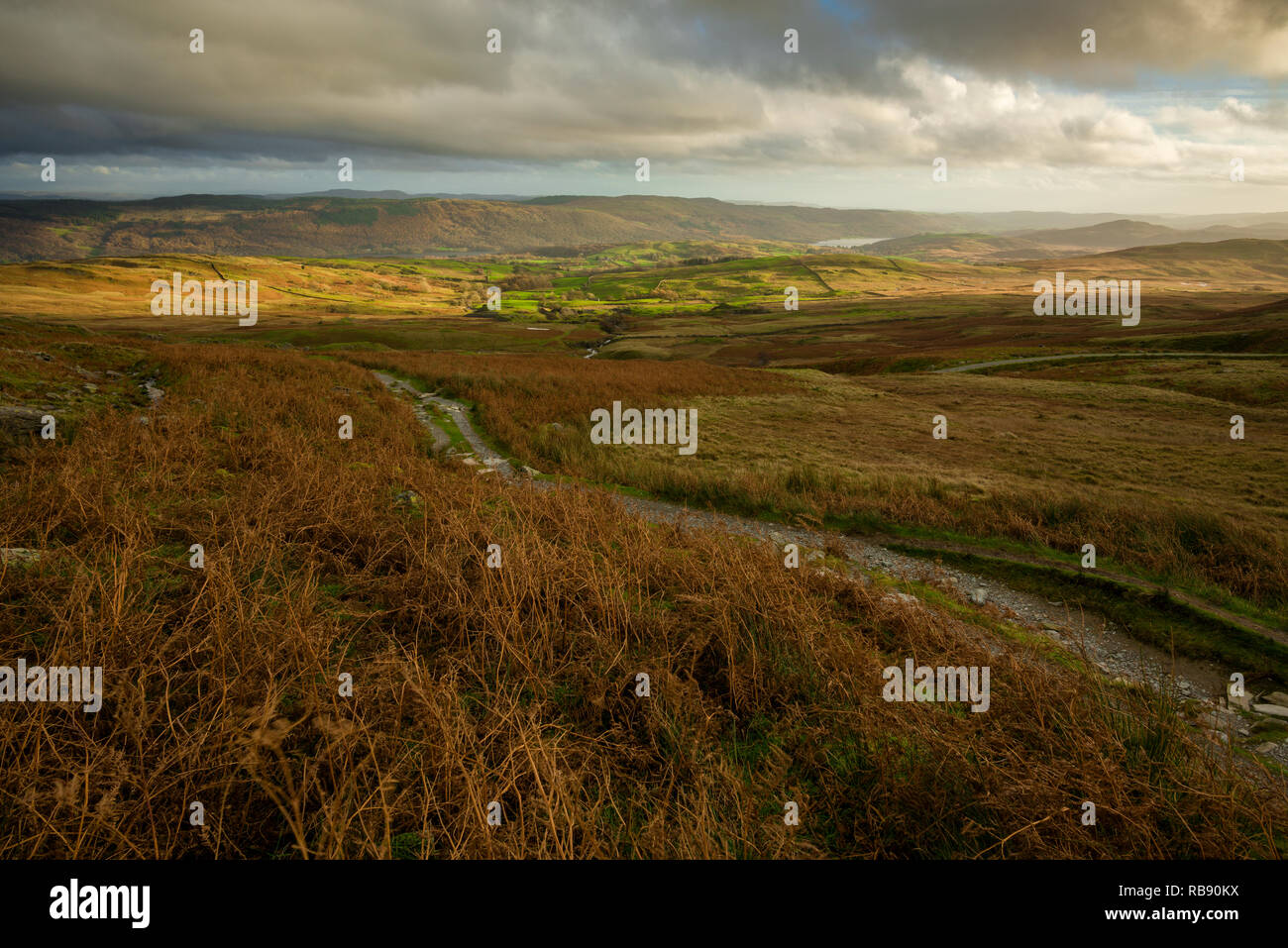 Piccola freccia Moor sul fianco sud del vecchio di Coniston con il Furness Fells al di là nel Parco Nazionale del Distretto dei Laghi, Cumbria, Inghilterra. Foto Stock