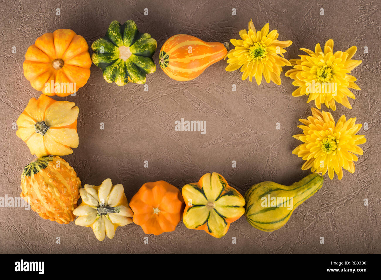 Telaio di zucche decorative di diversi tipi e fiori di crisantemo Foto Stock