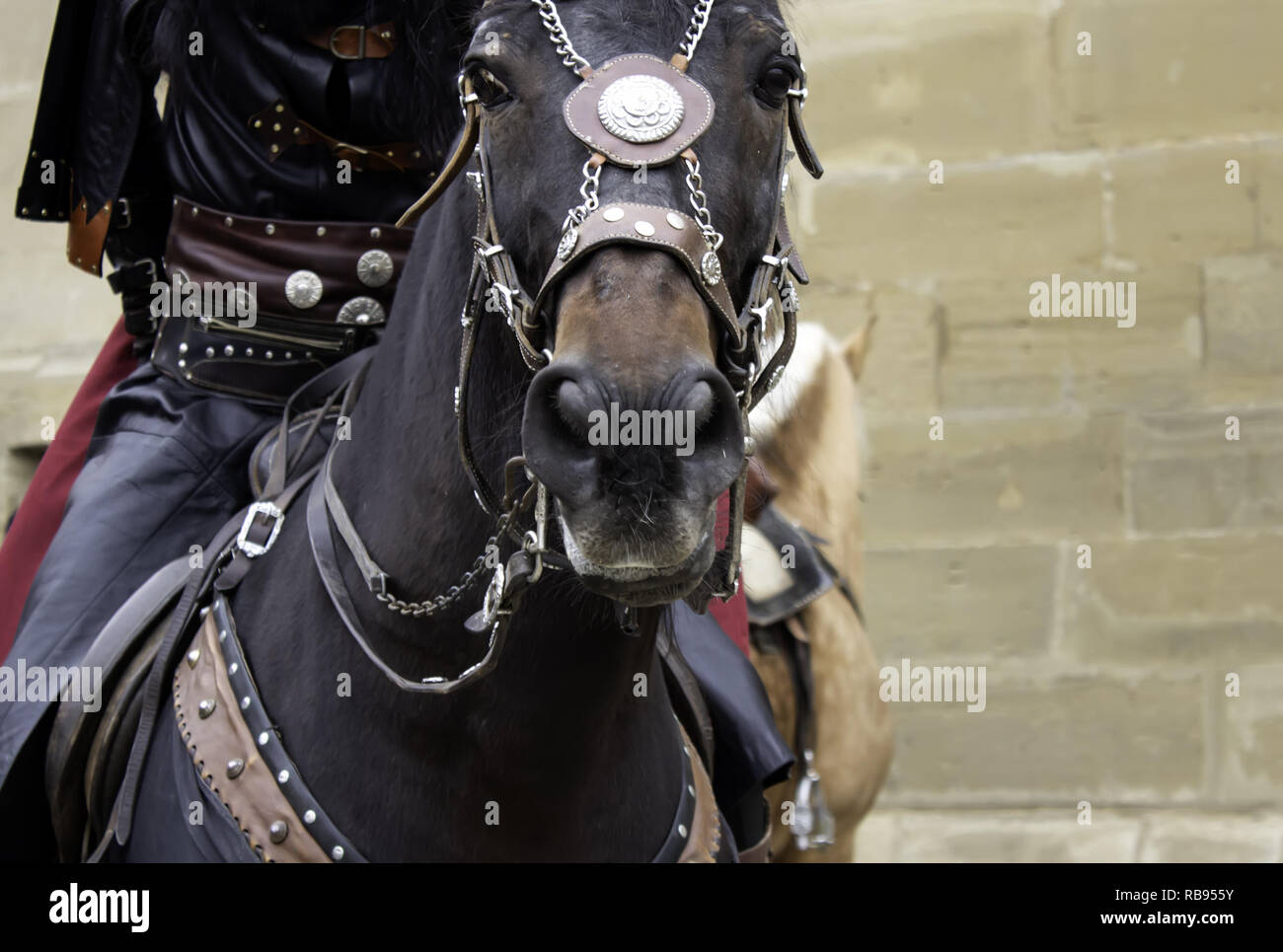 Cavallo abito medievale in mostra, gli animali e la guerra Foto Stock