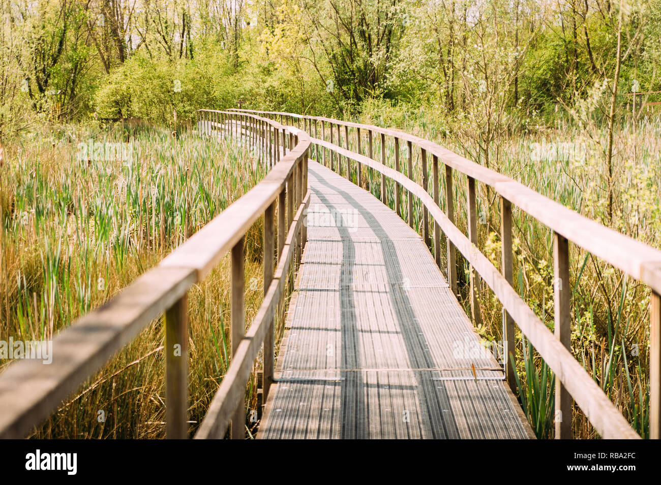 Il molo di legno in campagna a bassa marsh andando verso il bosco in outdoor, esprimendo la sensazione di serenità e di percorso futuro Foto Stock