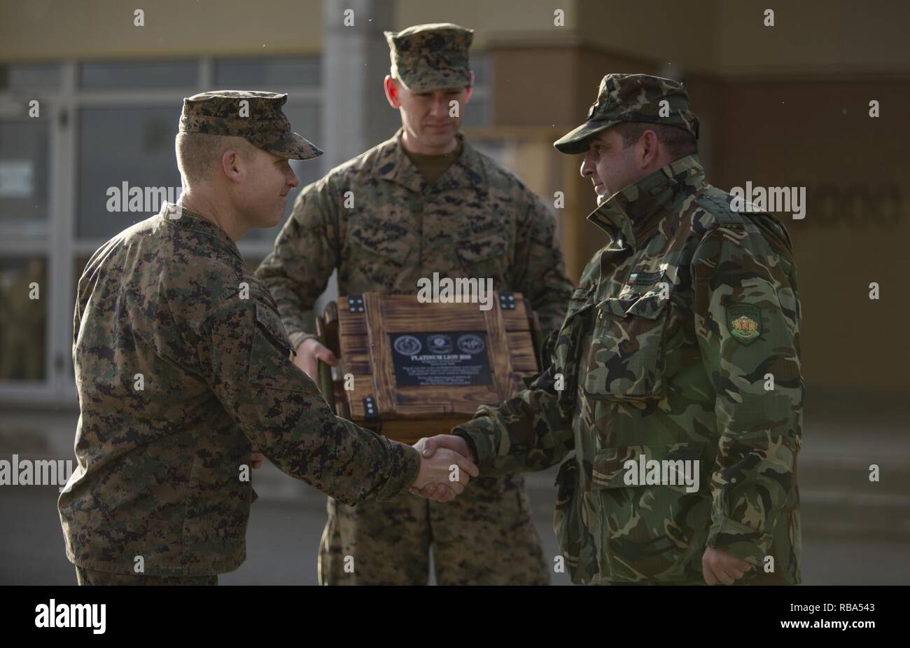 Stati Uniti Marines con il Mar Nero forza rotazionale presenta le forze bulgare di esercizio Platinum Lion 17.1 un dono per mostrare apprezzamento per la loro hosting di esercizio, durante la cerimonia di chiusura. Platinum Lion consente di Marines in Europa per il treno a fianco di altre otto nazioni partner nel Mar Nero, Balcani, Caucaso e le regioni a migliorare professionale collettiva capacità militari e di promuovere la stabilità regionale. Foto Stock