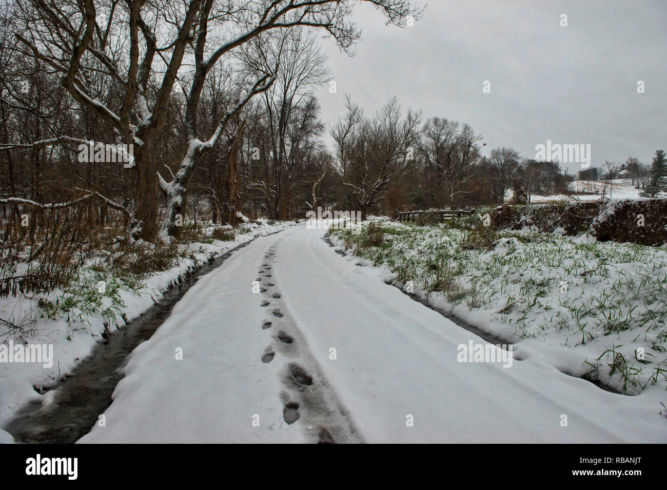 Stati Uniti - nov. 15, 2018: Le stagioni primo inverno meteo polmonato Beaverdam Bridge Road nella neve nei pressi del villaggio di Philomont. (Foto di Dougl Foto Stock