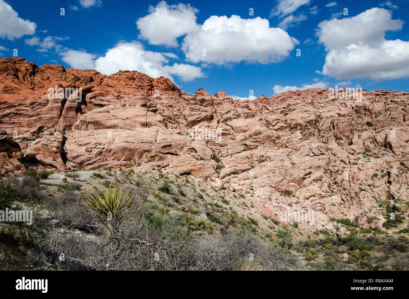 Il Red Rock Canyon National Conservation Area Foto Stock