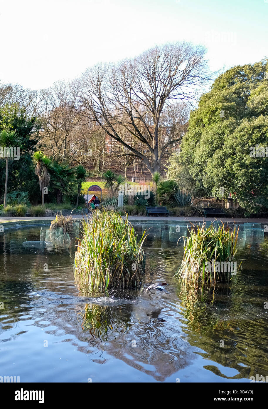 Queens Park pond Brighton vista Parco in inverno Foto Stock