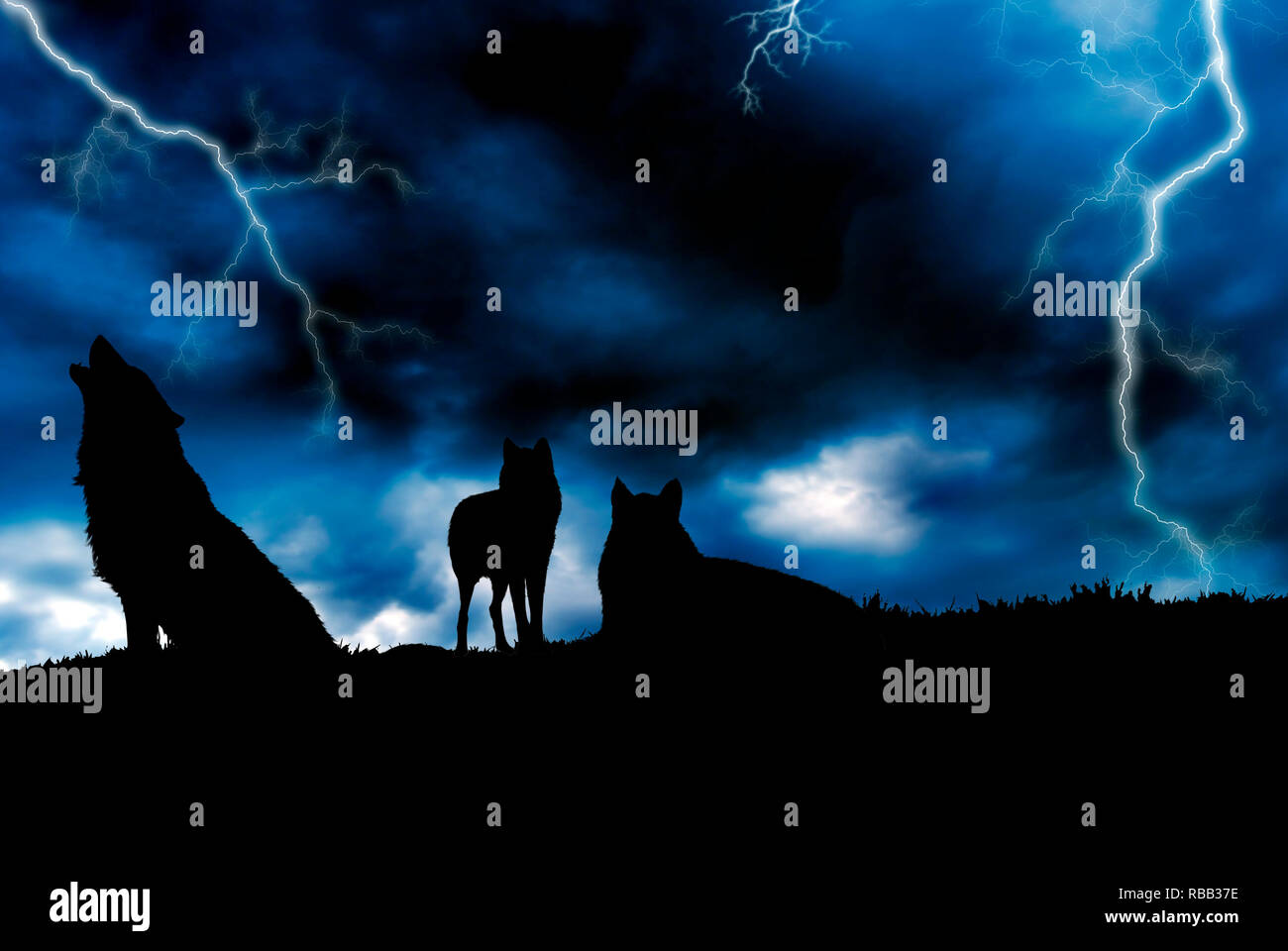 Un pacco di lupi in silhouette e un burrascoso blu cielo Foto Stock