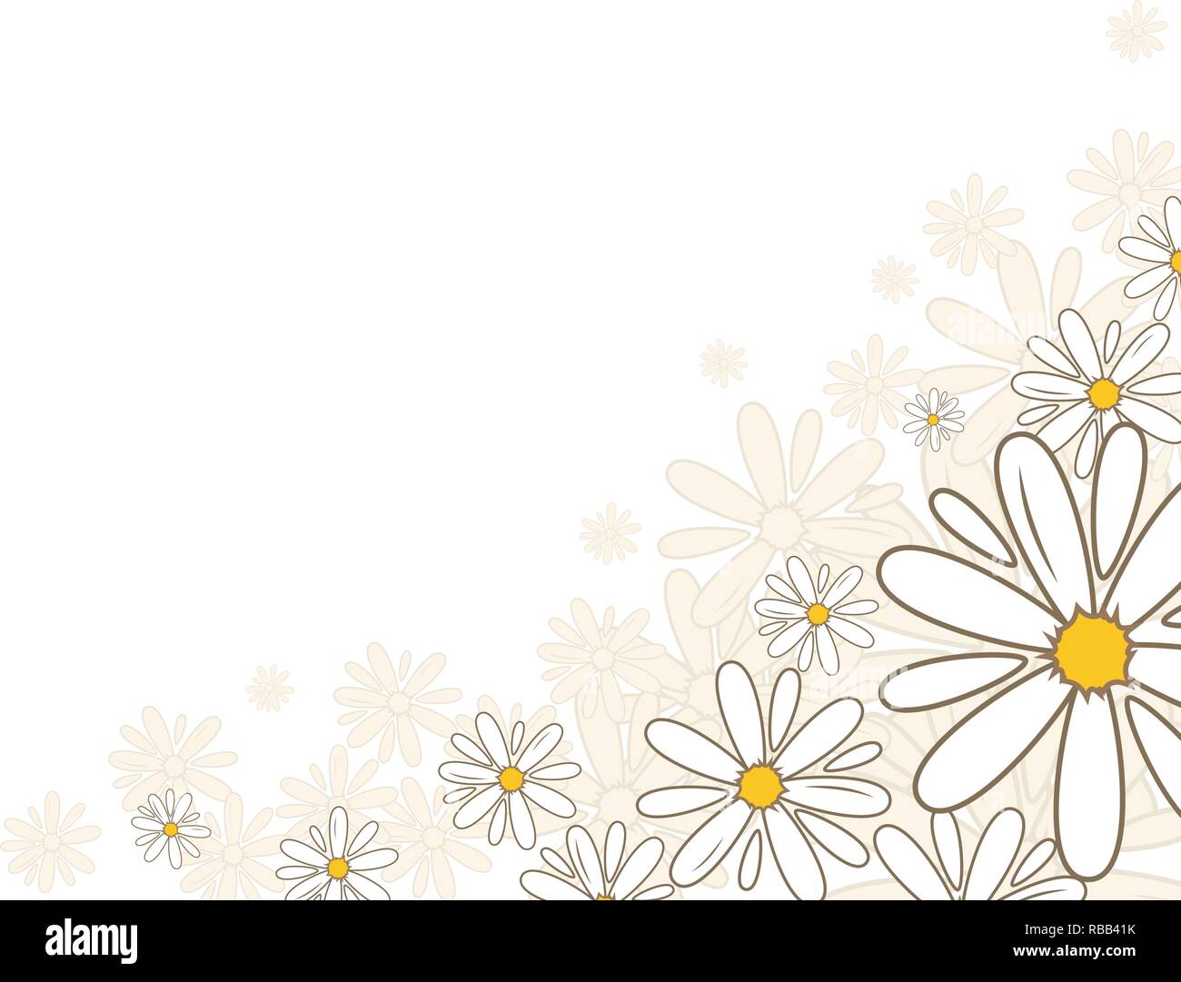 Angolo inferiore oxeye daisy decorazioni di fiori card. Fiore nazionale della Danimarca, Lettonia, Russia. Illustrazione Vettoriale modello Illustrazione Vettoriale