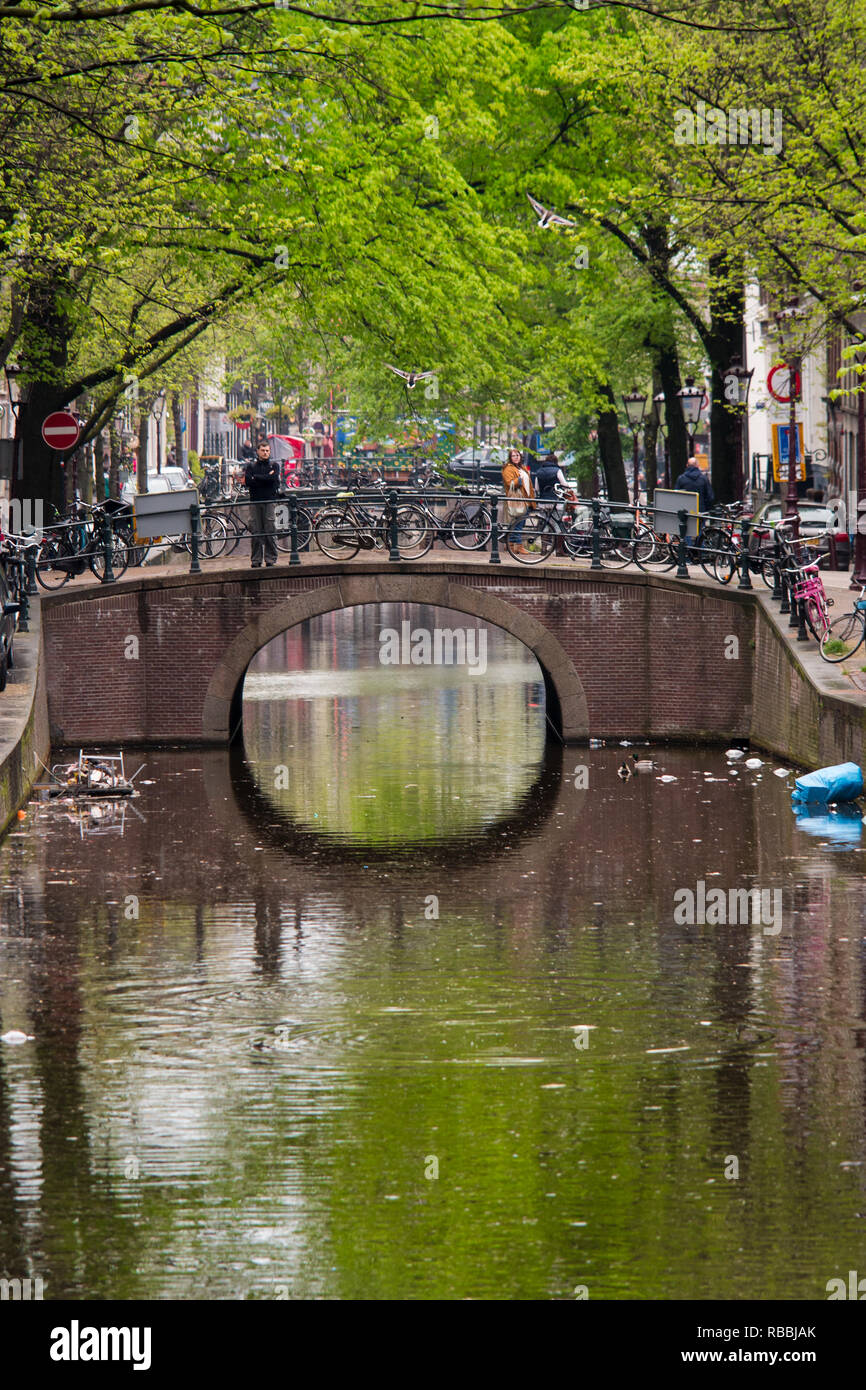 Un piccolo piede arcuato e ciclo ponte su un canale sporco in Amsterdam, Paesi Bassi. Foto Stock