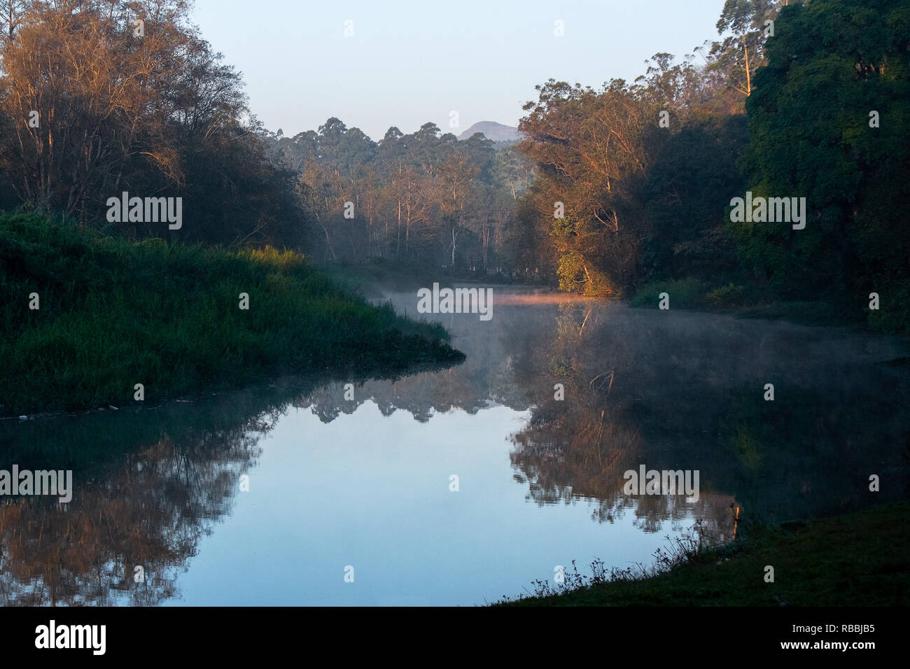 La mattina presto vista di un avvolgimento di fiume ancora con nebbia e golden sun rise colori. Foto Stock