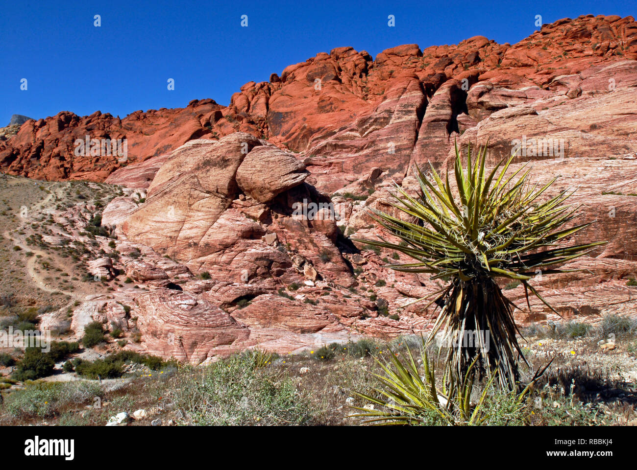 Il calicò colline presso il Red Rock Canyon National Conservation Area, un popolare escursioni e arrampicate su roccia destinazione ad ovest di Las Vegas, Nevada. Foto Stock