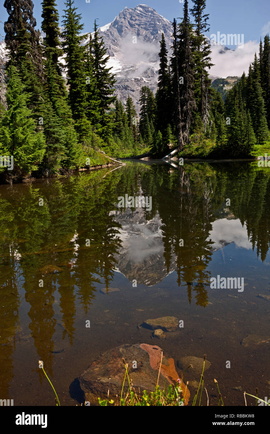 WASHINGTON - Lago di specchio che riflette il Monte Rainier situato fuori dal paese delle meraviglie sentiero vicino a Indian Henry terreno di caccia in Mount Rainier National Park. Foto Stock