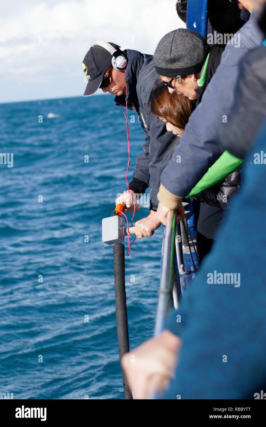 Osservazione delle Balene a Kaikoura, ricerca di balene utilizzando un microfono subacqueo a bordo di un tour in barca. Un uomo opera un microfono subacqueo Foto Stock