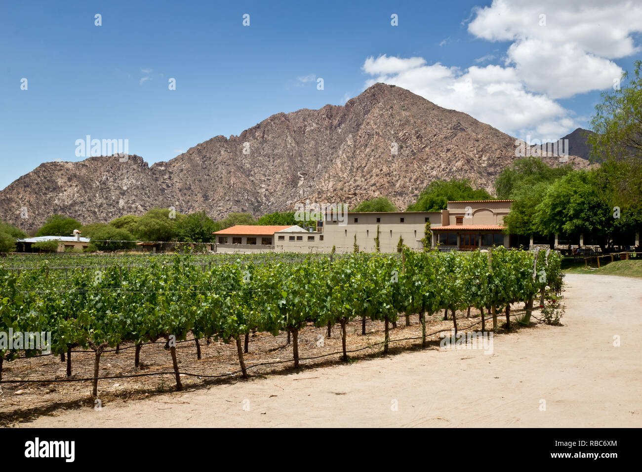 Vecchia cantina di Cafayate, Argentina Foto Stock