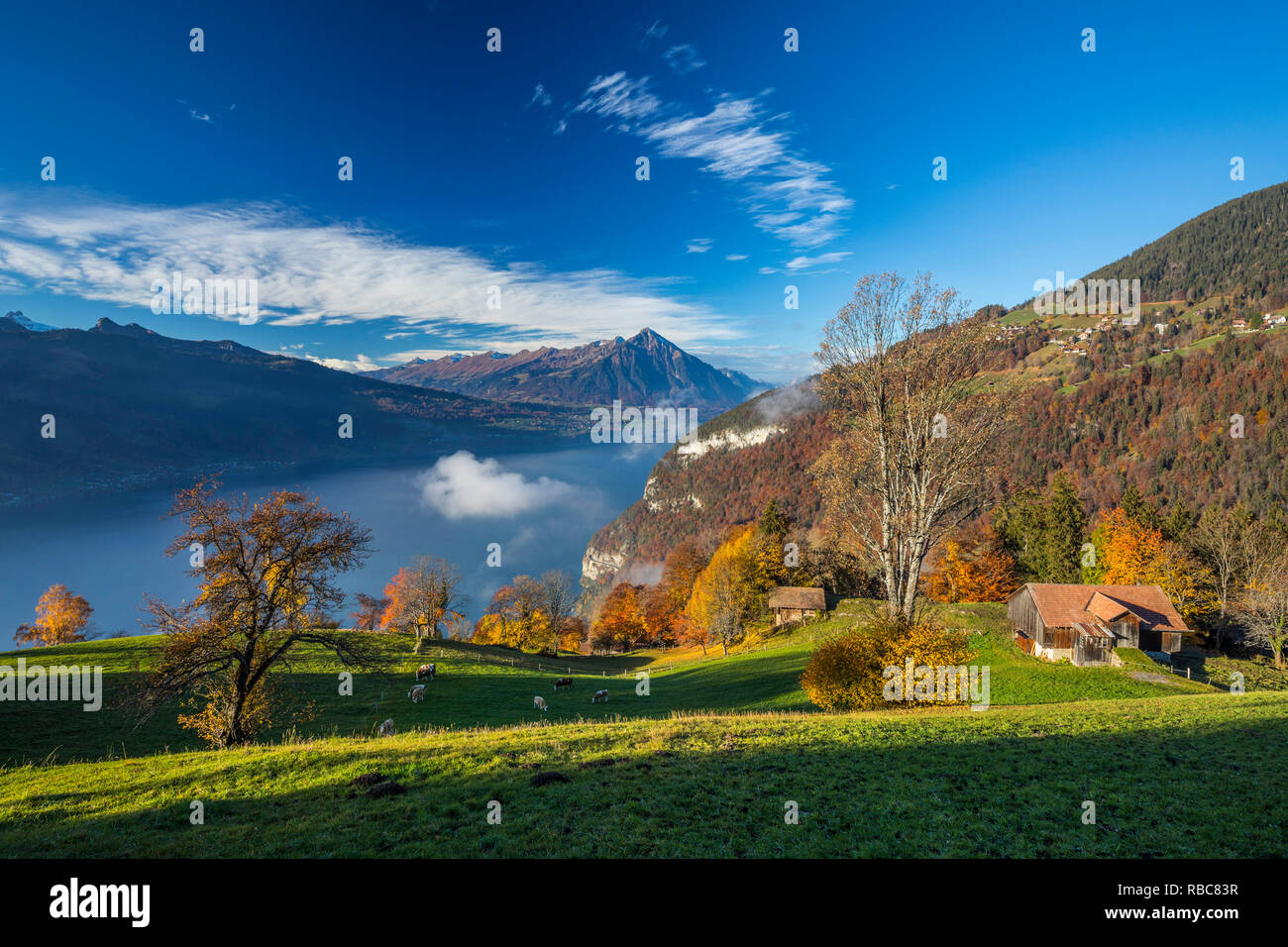 Niesen mountain e il Lago di Thun, Berner Oberland, Svizzera Foto Stock