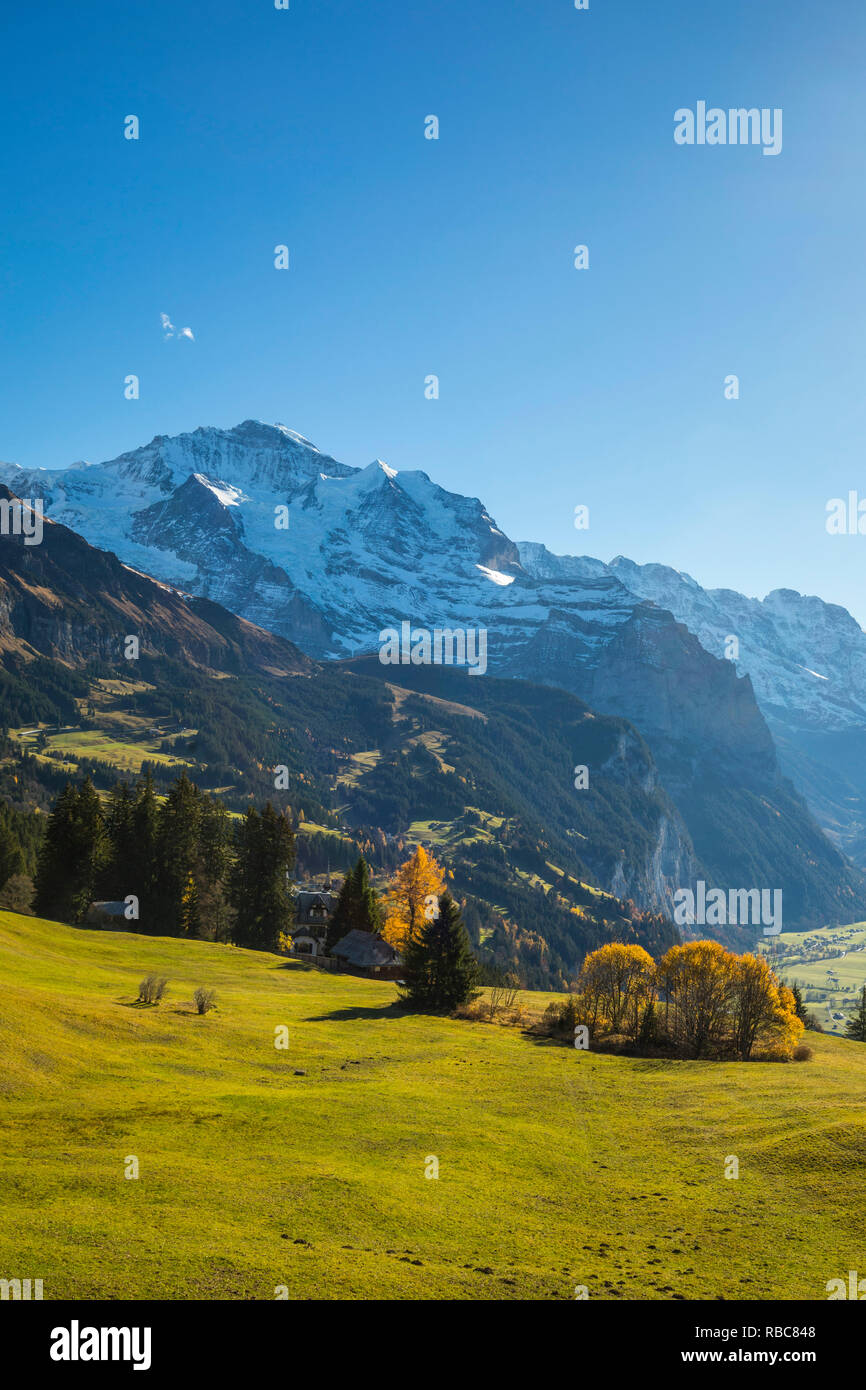 Wengen, e monte Jungfrau, Berner Oberland, Svizzera Foto Stock